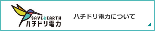 ハチドリ電力について