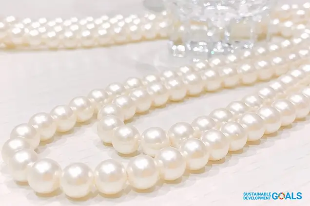 アコヤ真珠の継続的な販売